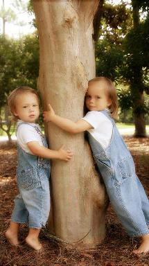 columbia tree fertilization