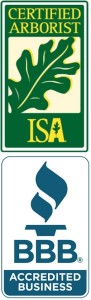 isa certified aborist columbia sc