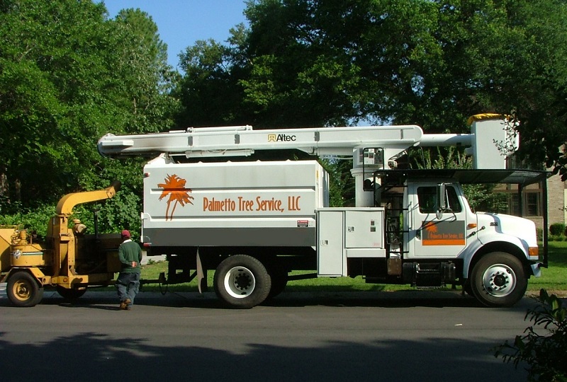 Tree Pruning Lexington